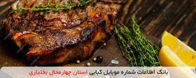 تصویر بانک اطلاعات شماره موبایل کبابی استان چهارمحال بختیاری 