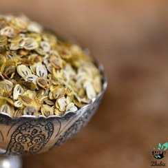 تصویر گلپر نرم 