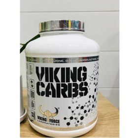 تصویر کربوهیدرات وایکینگ فورس 3 کیلویی carbs viking