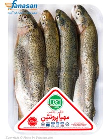 تصویر ماهی قزل آلا تازه مهیا پروتئین 1000 گرم MahyaProtein fish gezel ala 1000 gr