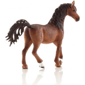 تصویر اسب عرب نر اشلایش Schleich 