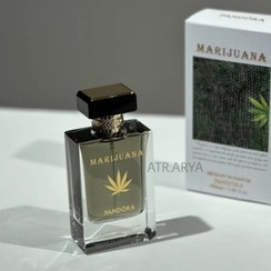 تصویر عطر ادکلن ماری جوانا پاندورا - دکانت 3 میل MARIJUANA PANDORA