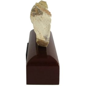 تصویر سنگ راف شجر فسیلی (دندریتی ) کد 2810 