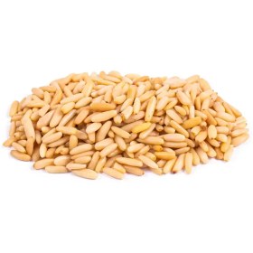 تصویر مغز چلغوز 