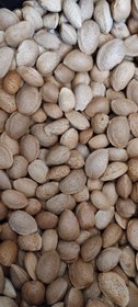 تصویر بادام باغی درجه یک 