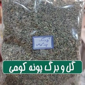 تصویر گل و برگ پونه کوهی تمیز شده - 100 گرمی 