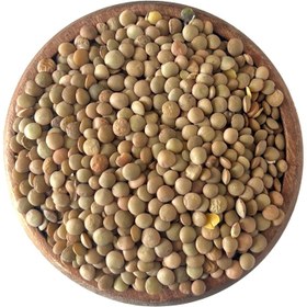تصویر عدس درشت روسی کد 10220099 