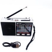 تصویر رادیو بلوتوث دار گولون مدل RX66BT 