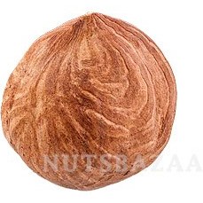 تصویر مغز فندق 