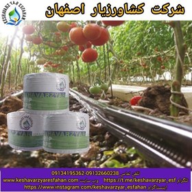 تصویر نوار آبیاری 20 سانتی متر حلقه 1000 متری (ارسال با باربری و پس کرایه)) 