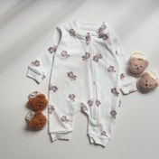 تصویر سرهمی تدی 