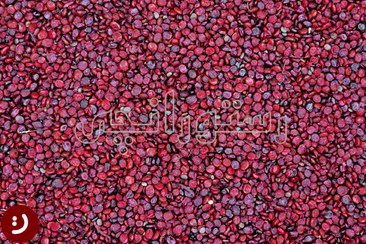 تصویر سماق قرمز اسیاب شده بدون هسته - پاکت پلاستیکی / 200g / دانه اسیاب نشده Red Dried Sumac