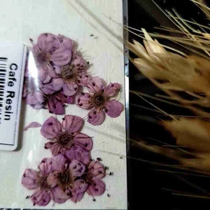 تصویر فروشگاه کافه رزین