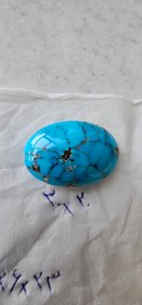 تصویر نگین فیروزه شجر 