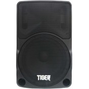 تصویر اسپیکر شارژی تایگر مدل EV10 پورتابل ۱۰ اینچ 