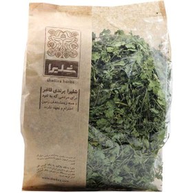 تصویر برگ گشنیز 