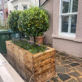 تصویر سفارش برگ بو برای تزئین سالن‌های زیبایی 