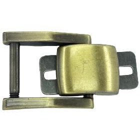 تصویر لاکپشتی تک حلقه 