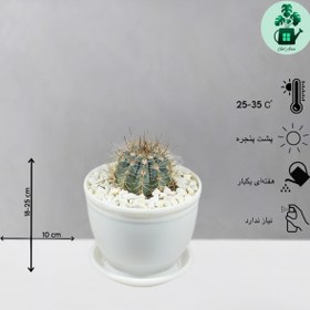 تصویر ملو آبی 