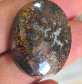 تصویر شجر مشکی سایز مدالی Shajar paize