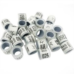 تصویر حلقه پا کبوتر ۲۰۲۵ عراقی بسته ۱۰ عددی 