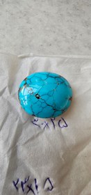 تصویر نگین فیروزه شجر 