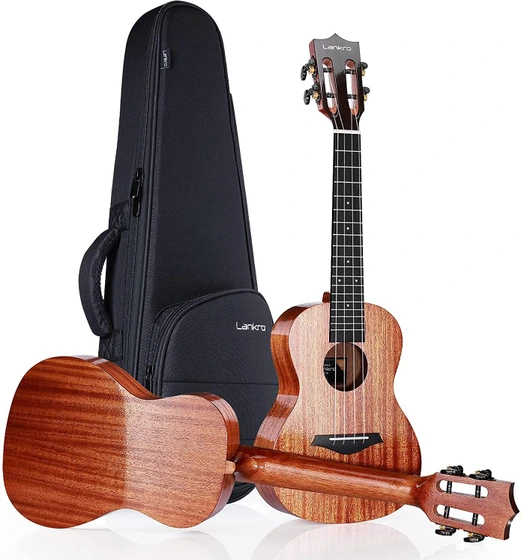 Concert store ukulele price