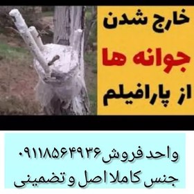 تصویر نوار پیوند تاجی بیمس آمریکایی 38 متری گردو و انگور و درخت 