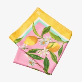 تصویر روسری سان کیسد 