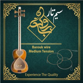 تصویر سیم تار باروک 