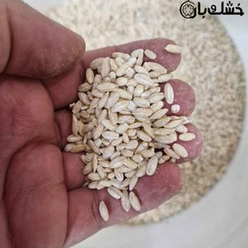 تصویر جو پوست کنده 