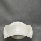 تصویر کاسه متوسط لب برگشته ویولت 