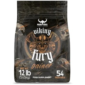 تصویر گینر ۵/۵کیلویی وایکینگ فورس VIKING FURY GAINER