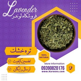 تصویر سبزی خشک تره (100گرمی) فروشگاه لوندر 