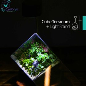 تصویر تراریوم مدل کیوب 