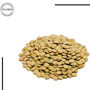 تصویر فروشگاه بازرگانی ارگانیک رحیمی شادگان