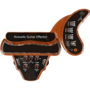 تصویر پیکاپ افکتور گیتار گیتافیش Pickup effector guitar gitafish