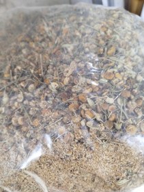 تصویر بابونه شیرازی ۲ درهم - ۵۰۰ گرم Shirazi Chamomile 2 dirhams