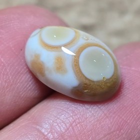 تصویر باباقوری طبیعی دوچشم 