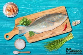 تصویر ماهی طوطی 