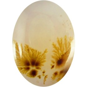 تصویر سنگ شجر پارلا گوهر کد 5131 