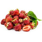 تصویر بذر توت فرنگی گاویتا Strawberry Guava seeds