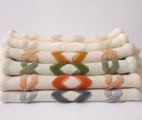 تصویر کوسن پرشین دو رنگ 