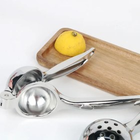 تصویر 406-25 آبلیمو گیر 