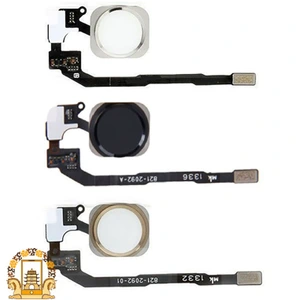 تصویر فروشگاه شیراز پکن