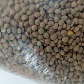 تصویر عدس ریز ( مبنای خرید بر اساس 1 کیلو می باشد ) 