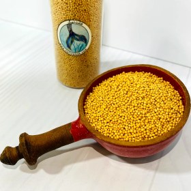 تصویر دانه خردل 