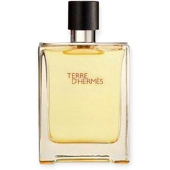 تصویر ادکلن مردانه نایس شیشه اصلی مدل تق هرمس Nice Terre D'hermes حجم 100 میلی لیتر Nice Terre De Hermes Eau de Parfum for men 100 ml