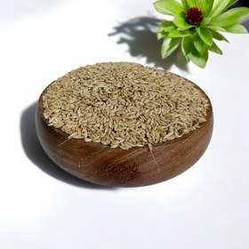 تصویر تخم کتان پرنده 