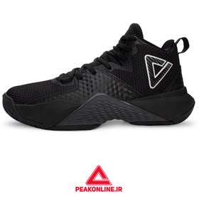 تصویر کفش بسکتبال مردانه پیک مدل ET44171A 
